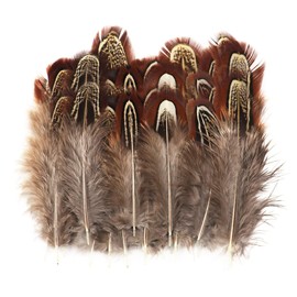 50 Pcs Natural Pheasant Feathers 2-3 Inches Plumage for Crafts Clothing Sewing Decorating Accessories