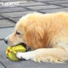 LaRoo Squeaky Dog Ball Toy, Durable Natural Rubber Squeaker Ball