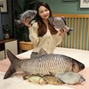 champracer Simulation Crucian Carp Plush Toy Carp Throw Cushion Doll