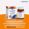 NORTASE Capsules Pack of 100