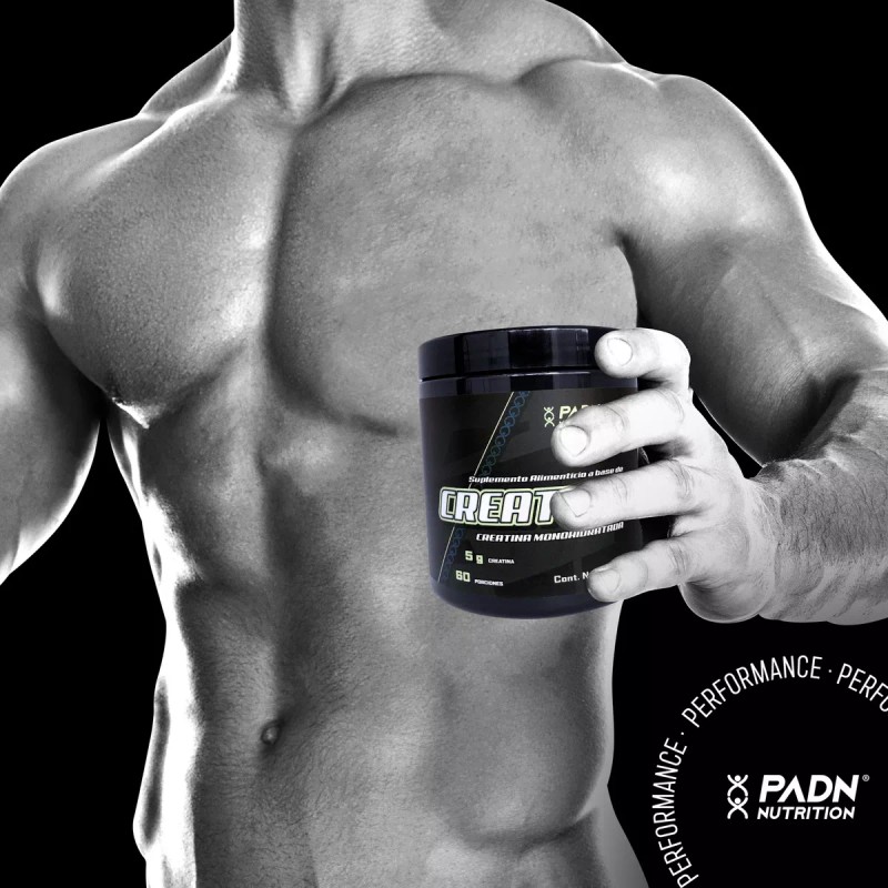 Padn Nutrition Creatina Monohidratada Polvo 300g Sabor Sin Sabor