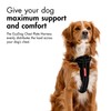 EzyDog Adjustable Chest Plate Harness - Small, Medium, XL, &