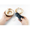 Stainless Steel Coconut Scraper Tool, Manual Grater with Serrated Blade