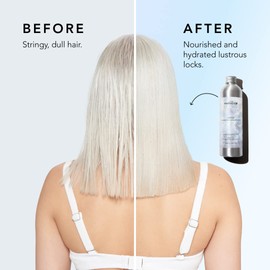 WE ARE PARADOXX Detox Hydrating Conditioner - Antioxidant-Rich Formula Strengthens and Smooths Dry and Damaged Hair - 99% Natural, Vegan - 250ml