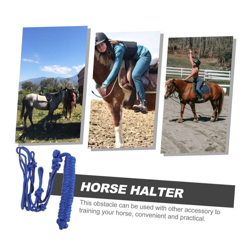 Hohopeti Riding Protective Ring Chain for Horse Bits Horse Head