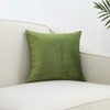 RKAAS HOME Pack of 2 Super Soft Decorative Luxurious Dutch