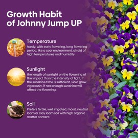 Groundio Johnny Jump Up Seeds, 10000+ Perennial Wild Violet Seeds for Planting, Edible Flowers, Attracts pollinators