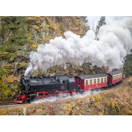 CALVENDO Puzzle 99 7243-1 of The Selketalbahn Near Harzgerode | Size