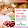 fruitHaven Dried Blueberries, All Natural,Gluten Free, No Perservatives, Good Source
