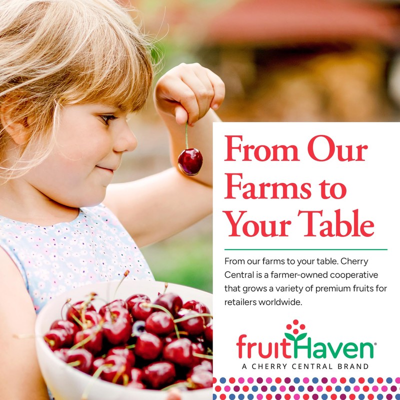 fruitHaven Dried Blueberries, All Natural,Gluten Free, No Perservatives, Good Source