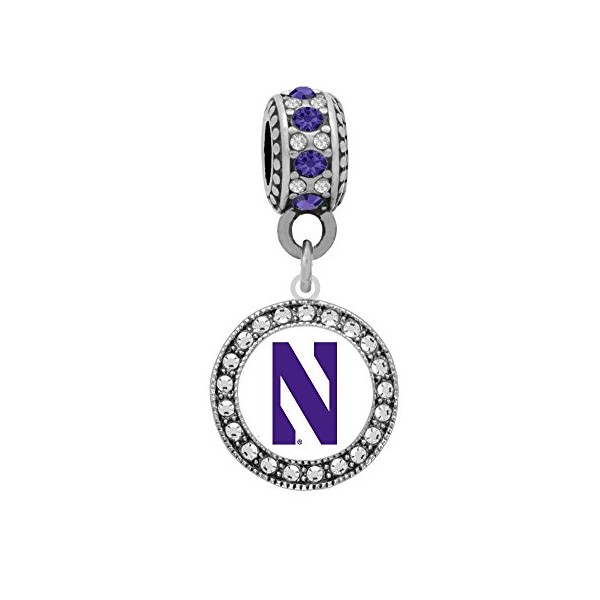 Northwestern University Crystal Charm
