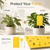 Qualirey Yellow Sticky Traps for Indoor & Outdoor Plants