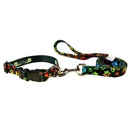 Dog Leash Set - Patterned Dog Collar Set, Matching Dog Collar and Lead, Made in The USA - 3/4 Inch Wide Adjusts to 11.5-17.5 Inches, Medium, Rainbow Paws