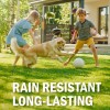 Seymour 20-602 Grass and Shrub Renew Paint, Pristine Green, 2/Pack