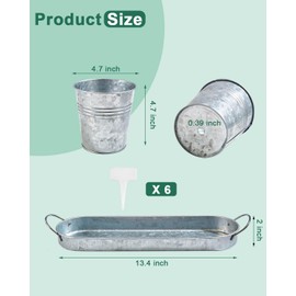 vensovo Indoor Herb Planter Set with Tray - Metal Windowsill Herb Plant Pot with Drainage & Plug for Garden Planter Outdoor, Silver