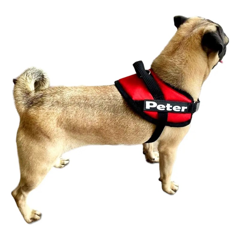 Pechera Arnés Para Pug Personalizado De Uso Rudo