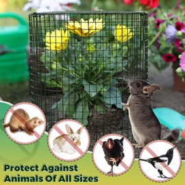 Hiboom 6 Set Garden Plant Protectors from Animals with Stakes, Metal Mesh and Detachable Covers Wire Plant Cage for Keeping Bunny Animals Out, Chicken Wire Cover Garden Protection (15.7x13)