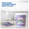 Ultra Clean Platinum Multipurpose Cleaner, Non-Abrasive and Bleach-Free, for Kitchen
