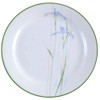 Corelle Impressions 9-Inch Luncheon Plate, Shadow Iris