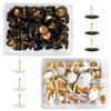 200 Pcs Drawing Pins, Round Head Push Pins Thumb Tacks