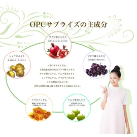 "NEW" OPC Surprise Premium Up To 60 A Try Campaign For Solo Drinkers 1 Piece One We Limited Production zakuro amura・ OPC OPC Natural Derived Polyphenols) by Supplements. masukerie Dr. Gift Fryer banjeno-ru・pikunojeno-ru・porifeno-ru