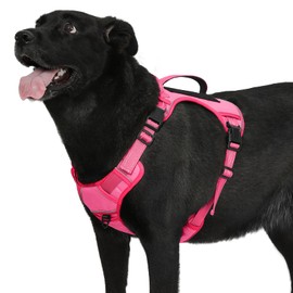 Bolux Tactical Dog Harness for Large Dogs,No Pull Adjustable Pet Dog Harness，Reflective K9 Working Training Easy Control Pet Vest Military Service Dog Harnesses (Fuchsia, X-Large (Pack of 1))