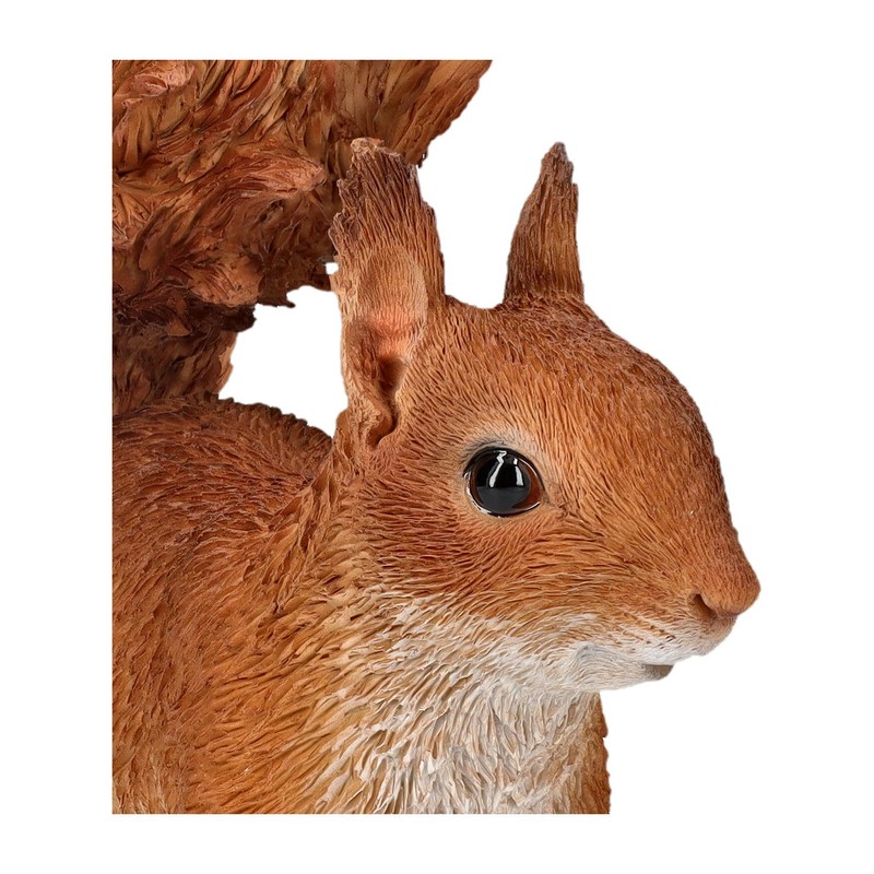 Squirrel Garden Ornament - Lifelike HotAnt Figurine, 22 cm, Weatherproof