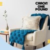 Caron One Pound White Yarn - 2 Pack of 454g/16oz