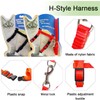 Widream 2 x Cat Harness with Lead and Collars, Escape