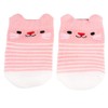 Rex London Cookie The Cat Baby Socks (one Pair)