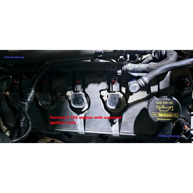 Ford Performance Powered by Ford coil covers for 2011-2017 F-150