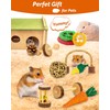 OVERTANG Hamster & Guinea Pig Toys - 18 Pcs Wooden