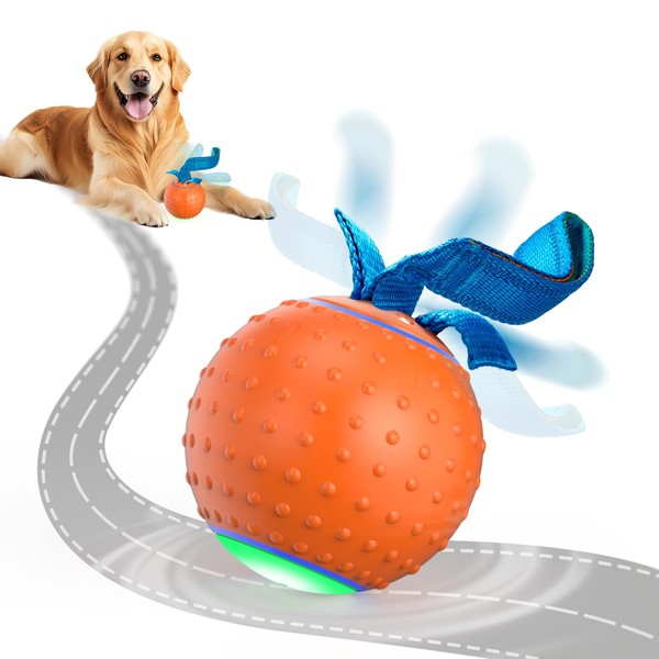 Interactive Dog Toys, Motion Activated Dog Ball, Automatic Rolling Ball