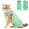 Avont Cat Recovery Suit - Kitten Onesie for Cats After