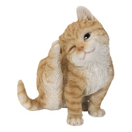 Yellow Cat Scratching Ear
