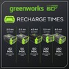 Greenworks Pro 60V 3A Standard Charger