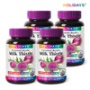 Holidays Milk Thistle 90 tablets, 4 bottles (12 months supply)