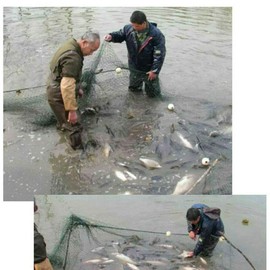 Fishing Drag Net Beach Seine Net 2x10M/6.5x33FT Cast Net/Fishing Nets Nylon Seine Hand Made 2cm/0.8" Mesh Holes,Fishing Cast Monofilament Nets Seine Fish Netting for Fishing Boat,Fisherman, Creek Lake