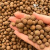 Growcery Premium Clay Pebbles For Plants: Multipurpose Growing Medium for