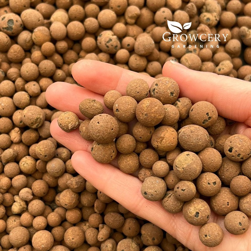 Growcery Premium Clay Pebbles For Plants: Multipurpose Growing Medium for