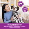 Greenies Smartbites Immune Support Crunchy & Soft Dog Treats, Chicken