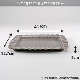 TAMAKI T-960653 Cooler Dish, Black, Width 10.9 x Depth 9.9 x Height 0.8 inches (27.7 x 22.7 x 2 cm), Dishwasher Safe, Dish, Square, Frying, Tableware, Pottery, Lunch Plate, with Net