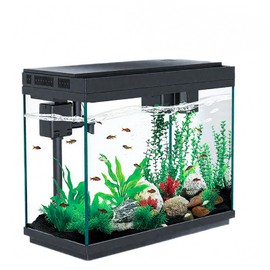 Smart Aquarium Fish Tank 2.5 Gallon Fish Bowl with Humidifier 7 Color Auto-Looping Light 3 in 1 Quiet Pump, Temperature Display and Self Cleaning System for Home, Office, and Decor