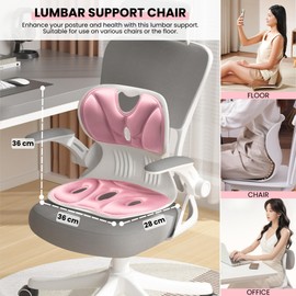 Posture Corrector Chair, Rückenlehne Kissen, Rücken für Stuhl, Lendenstütze Haltungskorrekturstuhl, Schaumstoffkissen und PP-Kunststoff, Tragbar, Lindert Rückenschmerzen. Für Büro, Zuhause, Unterwegs.