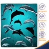 Dolphin Blanket Gifts for Women - Ocean Themed Sea Animal