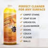 ADVANAGE 20X Multi-Purpose Cleaner Citrus 2 Pack - Manufacturer Direct