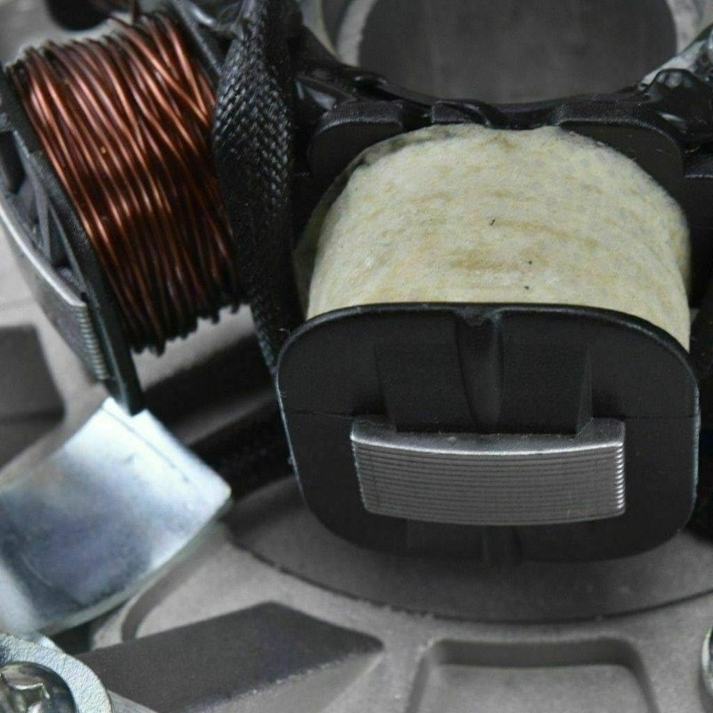 TDR LIFAN 140cc 150cc MAGNETO Stator Plate Kick Start Dirt