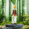 Livaano LIVAANO Essential Oils Set C 100% Pure Aromatherapy Oils