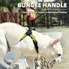 PUPTECK No Pull Dog Harness Medium Sized Dog, Adjustable Reflective