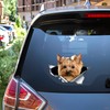 Car Sticker Yorkshire Terrier Sticker 18 cm (7.1 Inch) Yorkshire